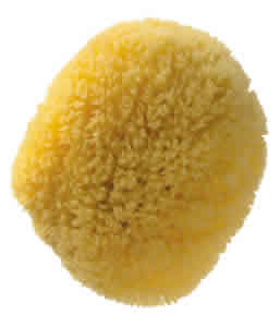 Caribbean Silk Complexion Sea Sponge  from EARTH THERAPEUTICS