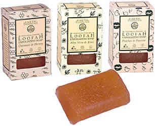 Loofah Exfoliating Soap Aloe Vera & Kiwi 4 oz from EARTH THERAPEUTICS