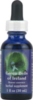 Green bells of ireland dropper, 1OZ