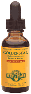 Goldenseal Glycerite Root Drops Alcohol-Free 1 oz from HERB PHARM