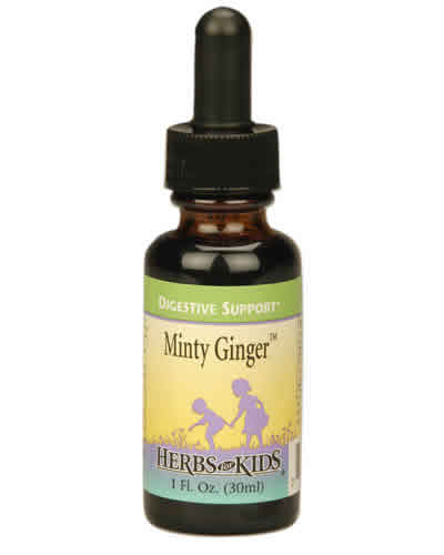 Minty Ginger Blend Alcohol-Free 1 fl oz from HERBS FOR KIDS