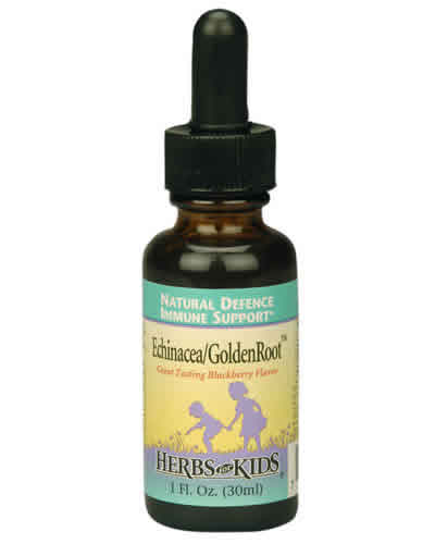 Echinacea/Golden Root/Blackberry Alcohol-Free 4 fl oz from HERBS FOR KIDS