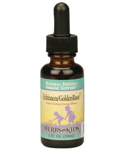Echinacea/Golden Root/Orange Flavor Alcohol-Free 1 fl oz from HERBS FOR KIDS