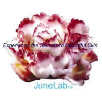 June labs - Formula jl-66  facial night cream 0.71 oz