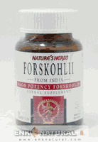 Forskohli 50 caps from NATURE'S HERBS