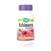 Echinacea Standardized Extract 1 fl oz from NATURE'S WAY