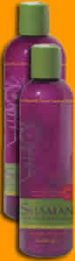 Shampoo Moisturizing Mango & Mint 12 fl oz from SHAMAN EARTHLY ORGANICS