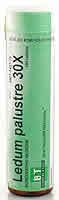 Ledum Palustre 30X 100 tabs from BOERICKE & TAFEL