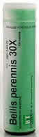 Bellis Perennis 30X 100 tabs from BOERICKE & TAFEL