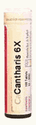 Cantharis 6X 100 tabs from BOERICKE & TAFEL
