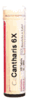 Cantharis 30X 100 tabs from BOERICKE & TAFEL