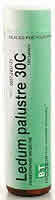 Ledum Palustre 30C 100 tabs from BOERICKE & TAFEL