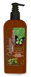 CARIBBEAN SOLUTIONS: Citrus Mint Bath Gel 8 oz