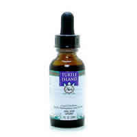 Combo Herb Extract Creativity 1 fl oz from TURTLE ISLAND HERBS
