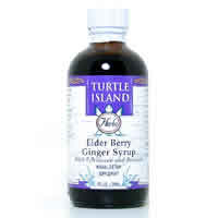 Syrup Elderberry Ginger 4 fl oz from TURTLE ISLAND HERBS