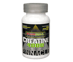 PERM-MAX CREATINE 4000 120TABS 120 tabs from BODYONICS
