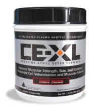 CE-XL FRT PNCH fruit punch from ISATORI TECHNOLOGIES