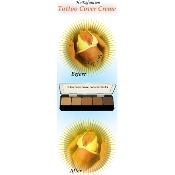 HI-DEF TATTOO COVER UP CREAM
