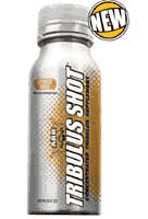 TRIBULUS SHOT ORANGE 12/CS 12/CASE from AMERICAN BODYBUILDING