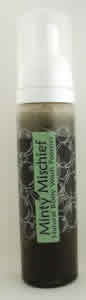 Body Wash Foamers Minty Mischief 8.45 fl oz from WELL IN HAND