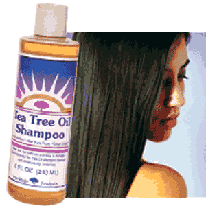 Tea Tree Shampoo 8 fl oz from HERITAGE PRODUCTS