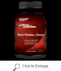 Champion nutrition - Wellness nutrition multi vitamin 90 tabs