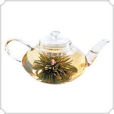Numi teas - Glass teapot classic 1POT
