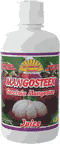 Mangosteen Juice 16 fl oz from DYNAMIC HEALTH LABORATORIES INC