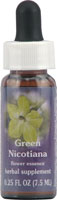 Flower essence: GREEN NICOTIANA DROPPER 1OZ
