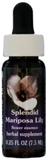 Flower essence - Splendid mariposa lily dropper 0.25OZ