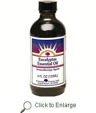 Eucalyptus essential oil, 1 oz