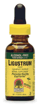 Ligustrum Alcohol Free 1 fl oz from NATURE'S ANSWER