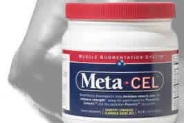 META-CEL LEMONADE 30 SERVING 30/servings from ISATORI GLOBAL TECHNOLOGIES