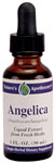 ANGELICA   1OZ 1 from NOW