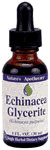 Now: Echinacea glycerite 1oz 1