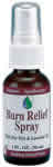BURN RELIEF SPRAY   1OZ 1 oz from NOW