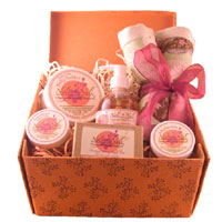 NOLI N NALI LLC: Deluxe Baby Shower Gift Set 6 pc