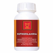 African red tea - Sutherlandia 100mg 60 vegicaps