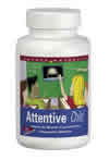 Attentive Child Chewable 120 wafers from SOURCE NATURALS