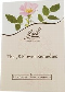 BACH FLOWER ESSENCES: Flower Essences Family Book 
