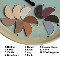 ECCO BELLA: FlowerColor Eyeshadow Clay (1  2 pan) .05 oz