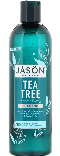 JASON NATURAL PRODUCTS: Shampoo Tea Tree Scalp Normalizing Shampoo 17.5 fl oz