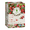 TRADITIONAL MEDICINALS TEAS: Organic Rose Hips With Hibiscus Tea 16 bag