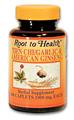 Hsu's ginseng e - Tienchi    garlic and american ginseng 100C