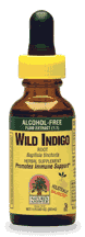 Wild Indigo (Baptisia) Alcohol Free Extract 1 fl oz from NATURE'S ANSWER