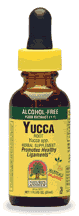 Yucca Alcohol Free Extract 1 fl oz from NATURE'S ANSWER