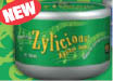 Funfresh foods - Zylicious gum spearmint 60 peice