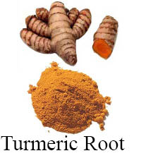 turmeric root sample for article