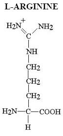 ARGININE 