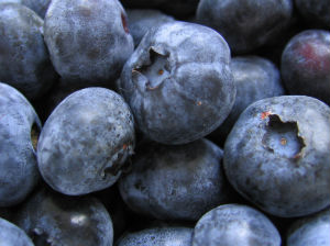 Blueberry fruits